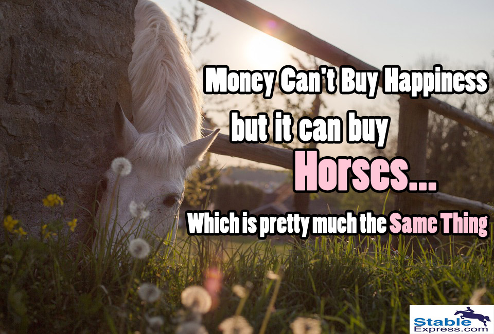 horses are the only happiness money can buy